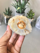 Load image into Gallery viewer, Stalactite Quartz